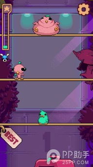 关禁闭游戏,揭秘神秘禁闭室的生存挑战与心理考验