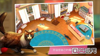 家有宠物游戏,打造温馨宠物乐园